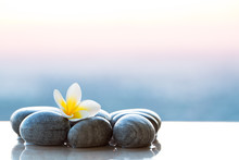Plumeria Flower And Stones For Spa Background
