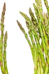 Sticker - asparagus isolated