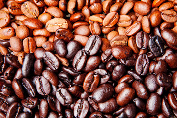 coffee bean background