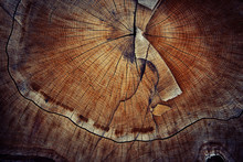 Wood Cut Texture Ring