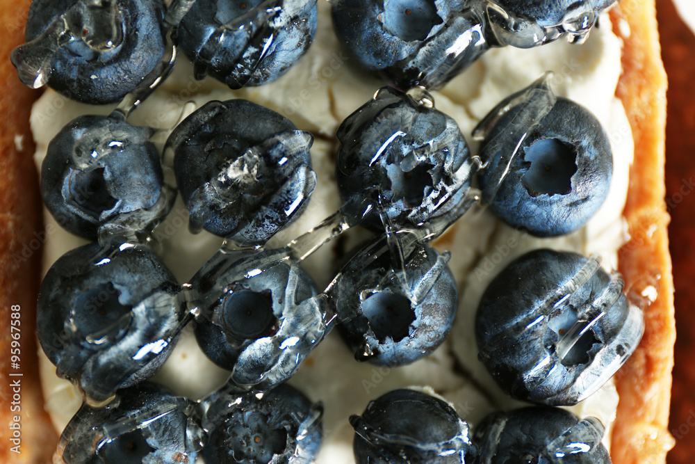 Gourmet fresh blueberry tart, close up