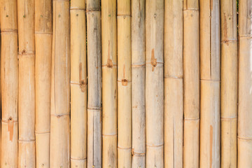  bamboo fence background