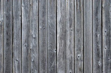 grunge wood wall background