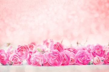 Wall Mural - the beautiful blooming pink carnation flowers with sweet bokeh
