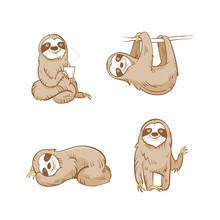 Cartoon Cute  Sloths Set. Four Sloths. Vector Image.