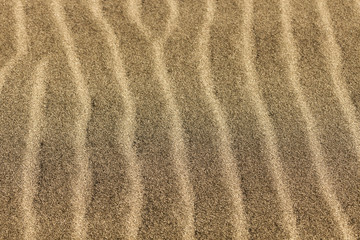  Sand Dunes National Park