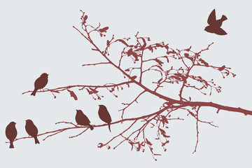 Naklejka roślina drzewa las ptak stado
