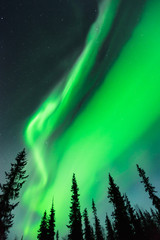 Wall Mural - Northern lights (Aurora borealis) in the sky