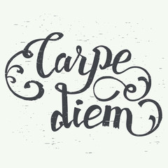 Wall Mural - Carpe diem. In latin means Catch the moment. Hand-lettering using a brush inspirational quote