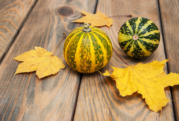 Wall Mural - autumn pumpkins