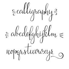 Wall Mural - Calligraphy cursive font