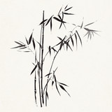 Fototapeta Sypialnia - Bamboo branches outlined in black