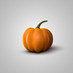 Wall Mural - Vector Illustration Of Realistic Pumpkin