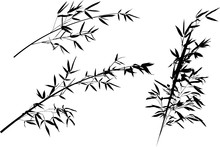 Bamboo Three Black Branches Collection Illustration