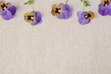 Fresh Purple Pansy Viola Flowers On Linen, Copy Space Background