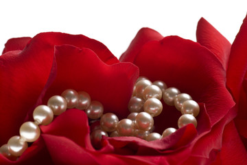 Sticker - red rose with pearls isolated on white background