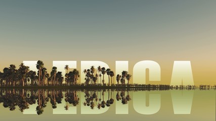 africa inscription behind palm trees