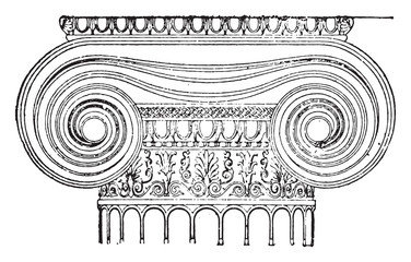 Canvas Print - Ionic capital, vintage engraving.