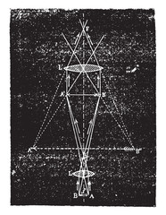 Wall Mural - light beams market in the compound microscope, vintage engraving