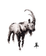 Alpine Ibex Goat Oriental Ink Painting With Chinese Hieroglyph "goat". Symbol Of The New Year Of Goat, Sheep.