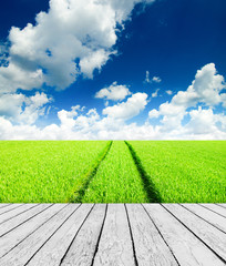 Green field under blue sky. Wood planks floor. Beauty nature bac