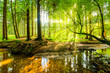 canvas print picture Wald Panorama mit Bach und Sonnenstrahlen