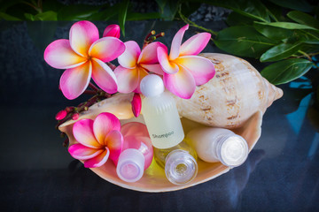 Wall Mural - Mini set of bubble bath and shower gel in sea conch shell  decorated with beautiful flower plumeria 