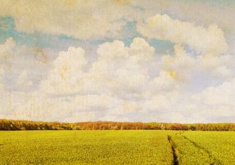 Wall Mural - green field under blue sky with white clouds
