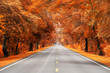 © stnazkul - road with yellow and red leaf, autumn scene