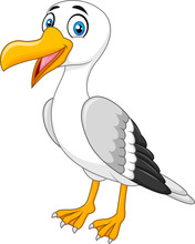 Cartoon Seagull Posing Isolated On White Background
