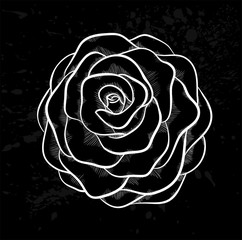 white rose outline with gray spots on a black background.