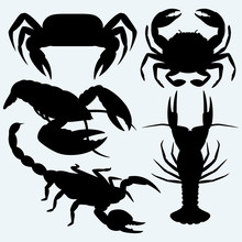 Set Crustaceans. Isolated On Blue Background. Vector Silhouettes