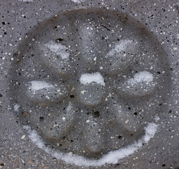 Decor flower with white snow carved on the stone wall