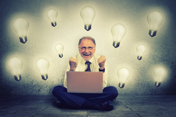 Senior man working on computer with light bulb plugged in it celebrates business success