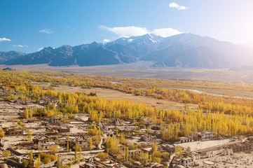 Canvas Print - Leh village in northen India