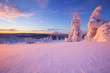 Sunset over frozen trees on a mountain, Levi, Finnish Lapland