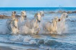 Herd of White Camargue Horses fast running through water in suns
