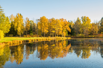 Autumn water landscape with bright colorful yellow leaves in Saint-Petersburg region, Russia.
