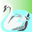 © nastusha2407 - Swan on a pond, лебедь на пруду