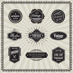 Wall Mural - set of retro vintage badge linear thin line art deco design elem