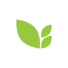 Green Leaf Icon Logo Template