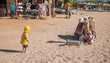 © shara - Camel resting on the beach of Sharm El Sheikh Egypt