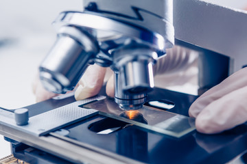 Wall Mural - scientist hands with microscope