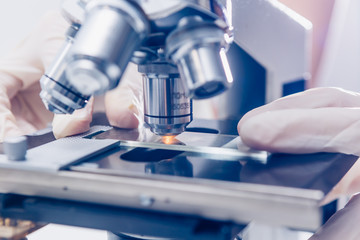 Wall Mural - scientist hands with microscope