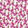 Floral seamless pattern with watercolor orchid flowers on white background 