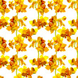 Tropical orchid flowers - exotic floral pattern. Repeating background. Water colour. 