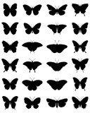 Fototapeta  - Black silhouettes of butterflies on a white background, vector