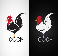 Vector image of an cock design on white background and black bac