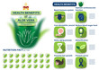 health benefits of aloe vera infographic 