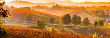 Castelvetro Di Modena, Vineyards In Autumn, Italy
